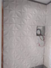 wbc img11